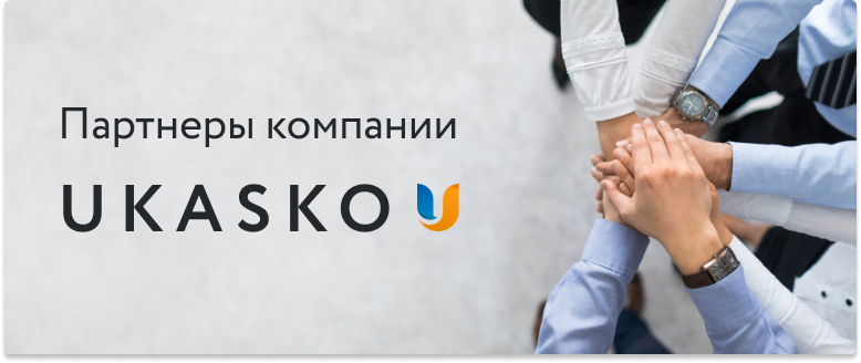 Український страховий стандарт логотип компанії